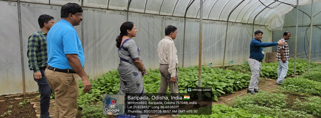Field Visit of NHB officials for Assessment of Accreditation and rating under the NHB Scheme's Component ''Recognition of Horticulture Nursery''